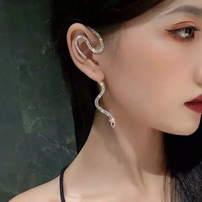 Snake Is Crawling Earrings