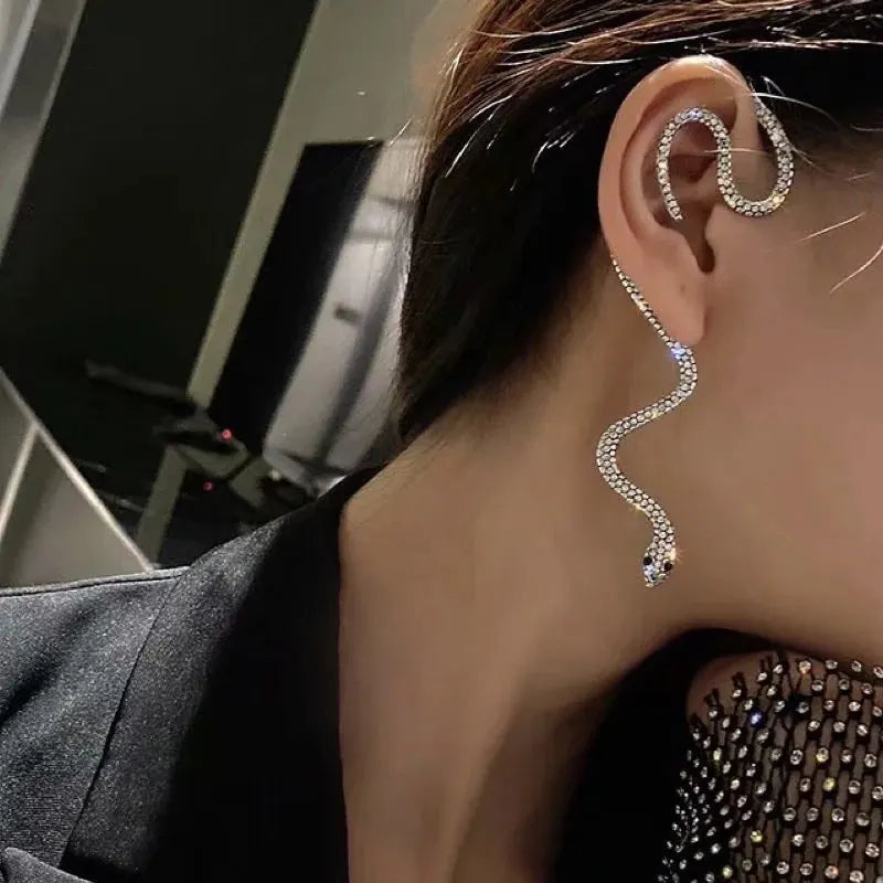 Snake Is Crawling Earrings