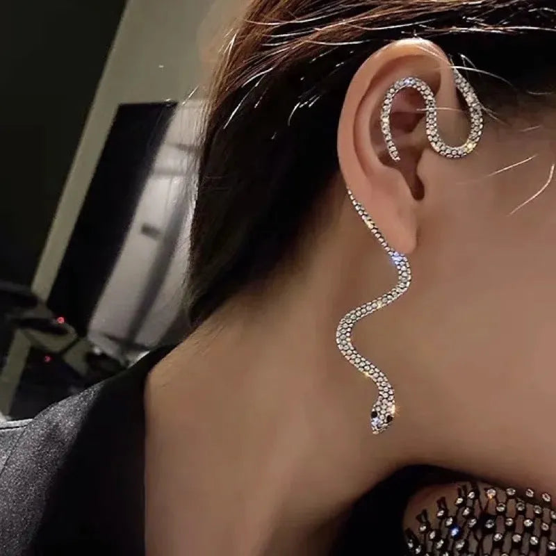 Snake Is Crawling Earrings