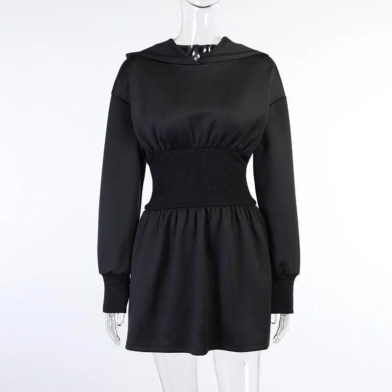 Elastic Waist Hooded Sweater Dress