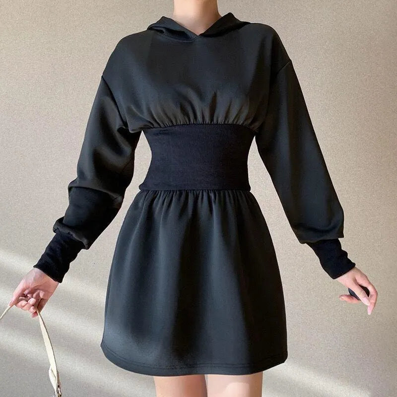Elastic Waist Hooded Sweater Dress