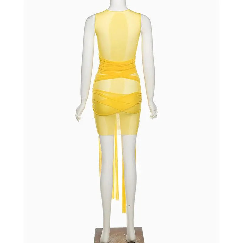 Mesh Open Back Slim Dress